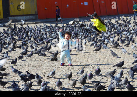 Tout-petit au milieu des centaines de pigeons dans un carré en Mongolie Banque D'Images