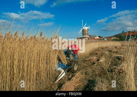 Moulin à vent CLEY et marais avec coupe de roseau en cours La côte nord de Norfolk en hiver au Royaume-Uni Banque D'Images