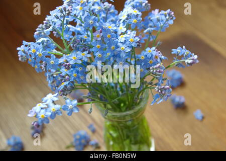 Forget me nots dans le vase Banque D'Images