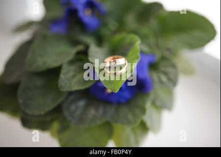 Mariage sur fleur Banque D'Images