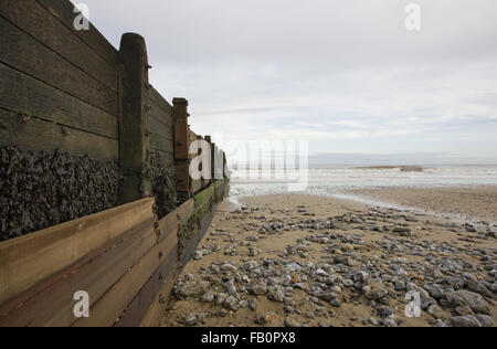 Partie de la défense de la mer sur la plage de Cromer, dans North Norfolk UK Banque D'Images