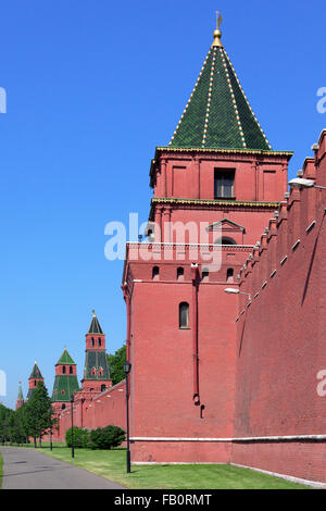 Mur sud du Kremlin à Moscou, Russie Banque D'Images