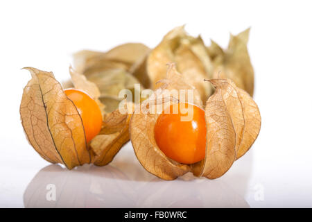 Physalis, Kapkrusbär (Physalis peruviana) Banque D'Images