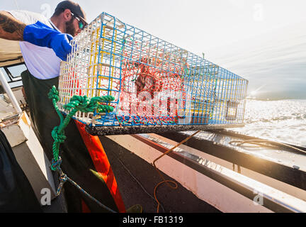 Pêcheur jetant à homard Banque D'Images