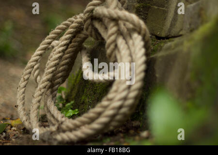 Corde sur l'arbre,grand, lourd, chanvre, noeud, Manille, corde nouée Banque D'Images