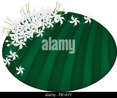 Belle fleur, une illustration commune blanc frais Gardenias ou Cape Fleurs de jasmin sur feuille de bananier vert isolé sur fond blanc Illustration de Vecteur