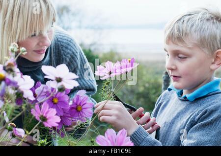 Mère et fils Fleurs de coupe dans jardin bio Banque D'Images