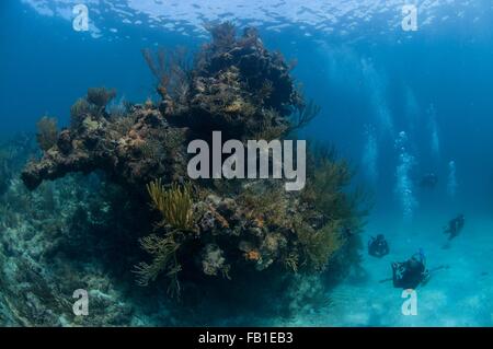 Petit groupe de plongeurs nager à côté de corail géant head, Xcalak, Quintana Roo, Mexique Banque D'Images