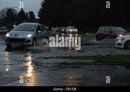 Tayside, Dundee, Écosse, Royaume-Uni, 7 janvier 2016 Village Ardler inondations causées par de fortes pluies Crédit : liam richardson/Alamy Live News Banque D'Images