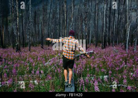 Vue arrière du Mid adult man balancing on arbre tombé dans le champ de fleurs sauvages, le lac Moraine, Banff National Park, Alberta Canada Banque D'Images
