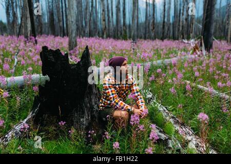 Mid adult man sitting souche d'arbre brûlé les fleurs sauvages sur le terrain du lac Moraine à Banff National Park Alberta Canada Banque D'Images