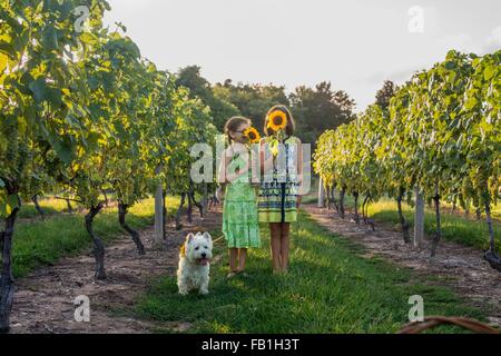 Portrait de deux jeunes filles holding sunflowers en face de visages Banque D'Images