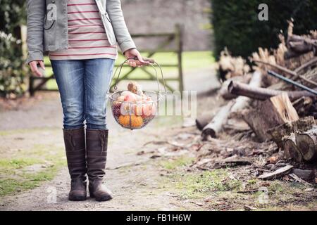 Cropped shot of woman holding panier de fruits et légumes sur un chemin de terre Banque D'Images