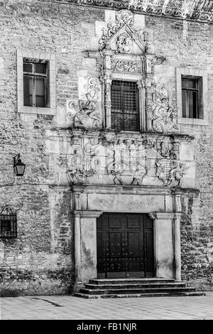 Porte principale de Escoriaza-Esquivel Palace dans la ville de Vitoria, Alava, Pays Basque, Espagne, Banque D'Images