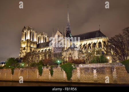 Cathédrale gothique Notre Dame de Paris avec la Seine, la nuit, l'île de la Cité, Paris, Ile-de-France, France Banque D'Images