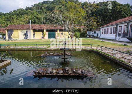 Douce, jardin botanique, Rio de Janeiro, Brésil Banque D'Images