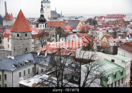 Les toits rouges de la vieille ville de Tallinn, Estonie Banque D'Images