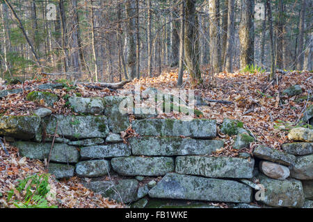 Un trou de la cave abandonnée le long d'une ancienne route de Benton, New Hampshire. Banque D'Images