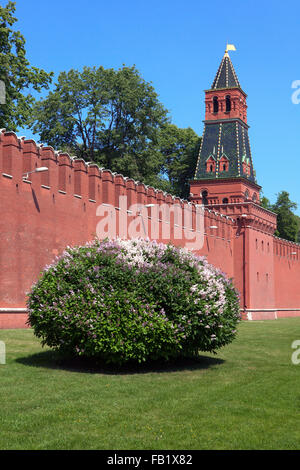 Le deuxième tour sans nom (1480) du Kremlin à Moscou, Russie Banque D'Images