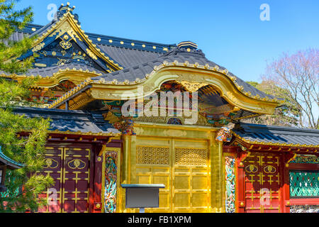 Toshogu dans le parc Ueno à Tokyo, Japon. Banque D'Images