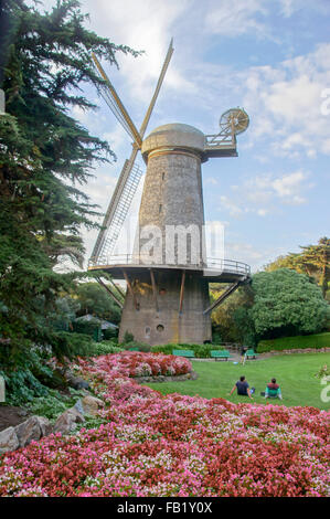 La Reine Wilhelmine Tulip Garden à San Francisco Banque D'Images