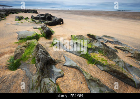 Rochers sur la plage de Fanore dans le Burren, comté de Clare, Irlande Banque D'Images