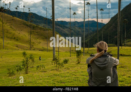 Fille avec veste gris assis sur l'herbe verte regarder de hauts palmiers dans la vallée de Cocora Banque D'Images