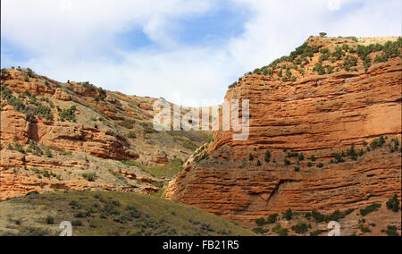 Rocky Mountain Landscape Banque D'Images