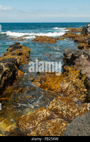 Des pierres à Cape Schanck, Mornington Peninsula National Park, Victoria, Australie Banque D'Images