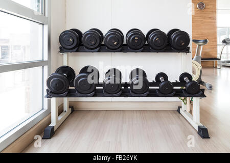 Différentes tailles d'haltère noir mis sur des étagères près de mur blanc dans les gymnases Banque D'Images