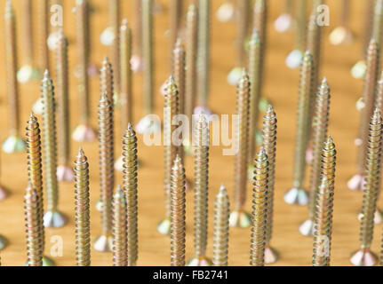 Plusieurs vis à bois plaqué sur une planche en bois Banque D'Images