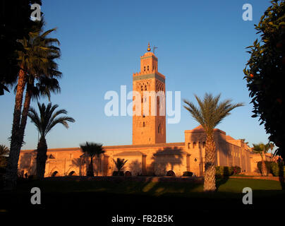 La lumière de l'après-midi sur Koutoubia, Marrakech, Maroc Banque D'Images