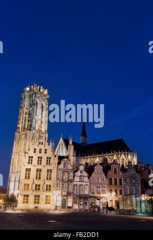 La Cathédrale Saint Rumbold à Mechelen en Belgique le matin Banque D'Images