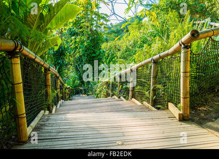 Étapes de l'intérieur l'eden project. Banque D'Images