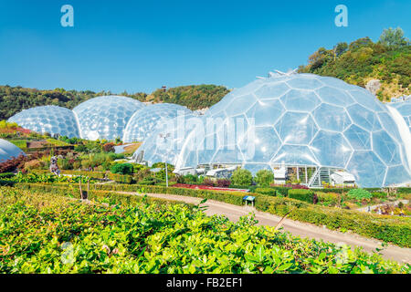 Dôme de l'Eden Project Banque D'Images