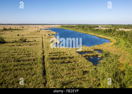 Pays-bas, Fochteloerveen Fochteloo, réserve naturelle. Haute lande ou la tourbe Moor. Avis de guet Banque D'Images