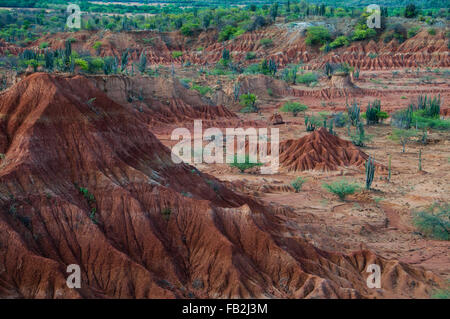 Big Red Sand Stone Hill dans le désert tatacoa chaud et sec avec des plantes, d'Huila Banque D'Images