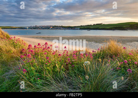 Une vue de l'estuaire de la Camel à Padstow Banque D'Images