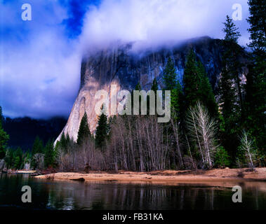 El Capitan enveloppé dans les nuages, Yosemite National Park California USA Banque D'Images