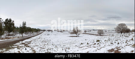 La route et la neige dans les hauteurs du Golan en Israël Banque D'Images