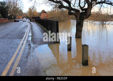 Météo France : Cobham, Surrey, Angleterre, Royaume-Uni. 8 janvier 2016. Comme le mauvais temps continue, la rivière Mole a éclaté ses rives à Cobham Surrey. En ce moment l'eau n'est qu'inonder la plaine d'inondation, mais s'inquiète de l'ampleur dans tout près de l'A245. Credit : Julia Gavin UK/Alamy Live News Banque D'Images