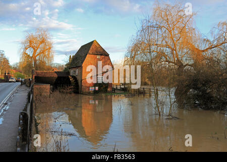 Cobham, Surrey, Angleterre, Royaume-Uni. 8 janvier 2016. Comme le mauvais temps continue, la rivière Mole a éclaté ses rives à Cobham Surrey. En ce moment l'eau n'est qu'inonder la plaine d'inondation autour du vieux moulin, mais s'inquiète de l'ampleur dans tout près de l'A245. Credit : Julia Gavin UK/Alamy Live News Banque D'Images