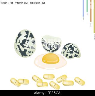 Concept de soins de santé, de l'illustration d'oeufs de cailles avec les protéines, les matières grasses, la vitamine B12, riboflavine ou vitamine B2, nutriment essentiel pour Illustration de Vecteur