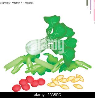 Concept de soins, Illustration de bok choy, Pok Choi ou Pak choi avec la vitamine K, vitamine A et en minéraux essentiels, tablette Nutr Illustration de Vecteur