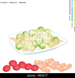 Concept de soins, Illustration de sauté de chou de Bruxelles avec la vitamine K, vitamine C et minéraux comprimé, nutriment essentiel Illustration de Vecteur