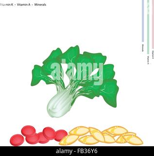 Concept de soins, Illustration de bok choy, Pok Choi ou Pak choi avec la vitamine K, vitamine A et en minéraux essentiels, tablette Nutr Illustration de Vecteur