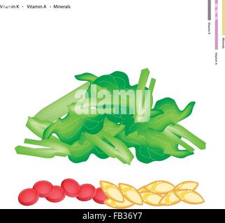 Concept de soins, Illustration de bok choy, Pok Choi ou Pak choi avec la vitamine K, la vitamine A et de minéraux comprimé, Essent Illustration de Vecteur