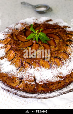 Gâteau aux prunes avec la gelée et recouverte de sucre en poudre Banque D'Images