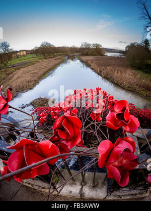 Yorkshire Sculpture Park, Royaume-Uni. 8 janvier, 2016. C'est le dernier week-end lorsque les visiteurs YSP pouvez visualiser vague, par l'artiste Paul Cummins, un grand arc de têtes de pavot rouge vif sur les tiges de suspension d'imposants. Première affichée à la Tour de Londres en 2015. Exposition se termine le dimanche 10 janvier. Bailey-Cooper Photo Photography/Alamy Live News Banque D'Images