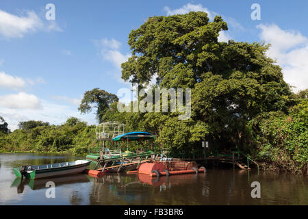 Rivière dans le Pantanal, Mato Grosso, Brésil Banque D'Images